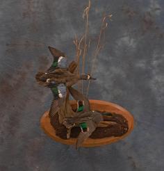 Bluewing and Greenwing Teal Drakes with Habitat Wall Base. 0 Bluewing and Greenwing Teal Drakes with Habitat Wall Base. 0